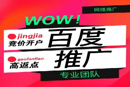 某电商平台的SEM广告投放策略及效果评估