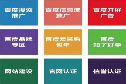 百度推广服务费案例：打造爆款产品营销策略